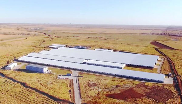 J9集团|国际站官网